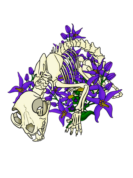 2.5” Die Cut Vinyl Sticker