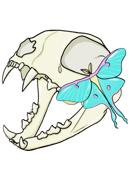 2.5” Die Cut Vinyl Sticker