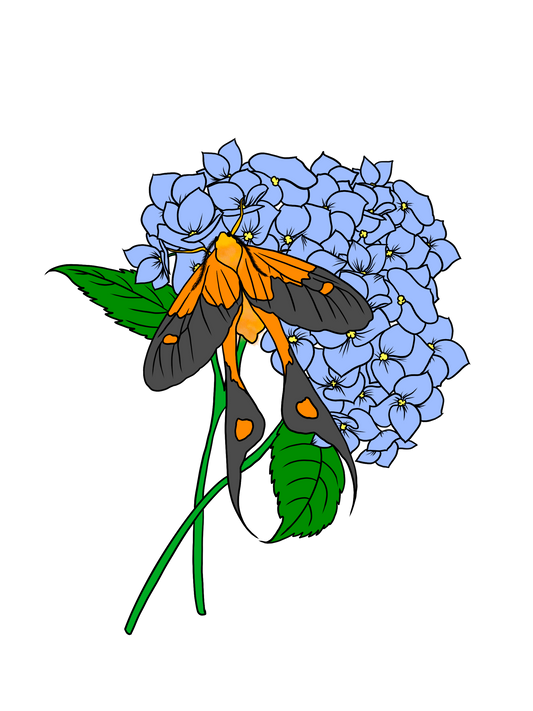 2.5” Die Cut Vinyl Sticker